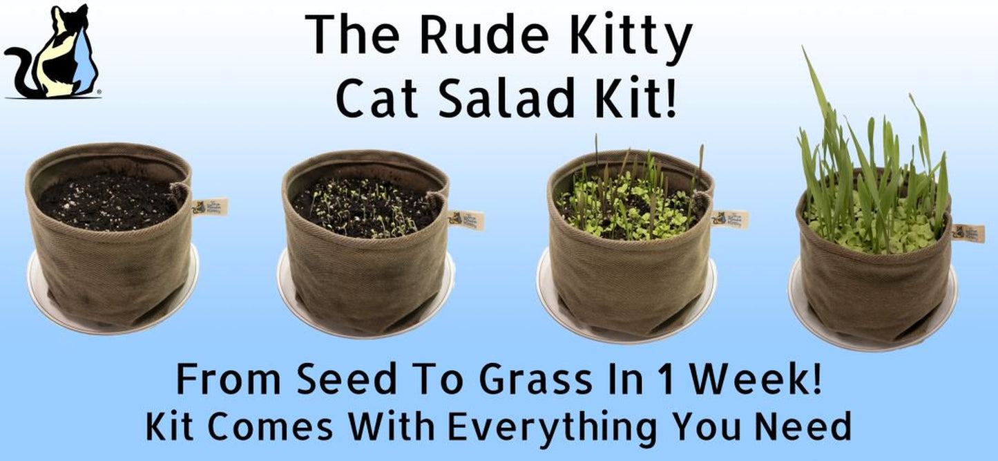 Organic Cat Grass Kit (Cat Salad) Organic Greens, Eco-Friendly, Brand: the Rude Kitty Animals & Pet Supplies > Pet Supplies > Cat Supplies > Cat Treats The Rude Kitty   