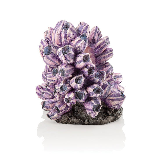 Biorb Aquarium Sculpture Barnacle Cluster, Resin, Purple Animals & Pet Supplies > Pet Supplies > Fish Supplies > Aquarium Decor OASE   