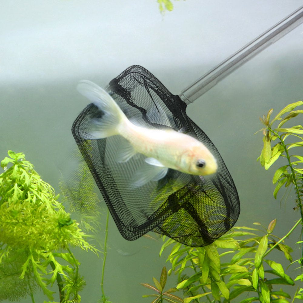 Aquarium Fishing Handle Extendable Shrimp Small Betta Tetra Fish Tank Mesh Net Animals & Pet Supplies > Pet Supplies > Fish Supplies > Aquarium Fish Nets CHANCELAND   