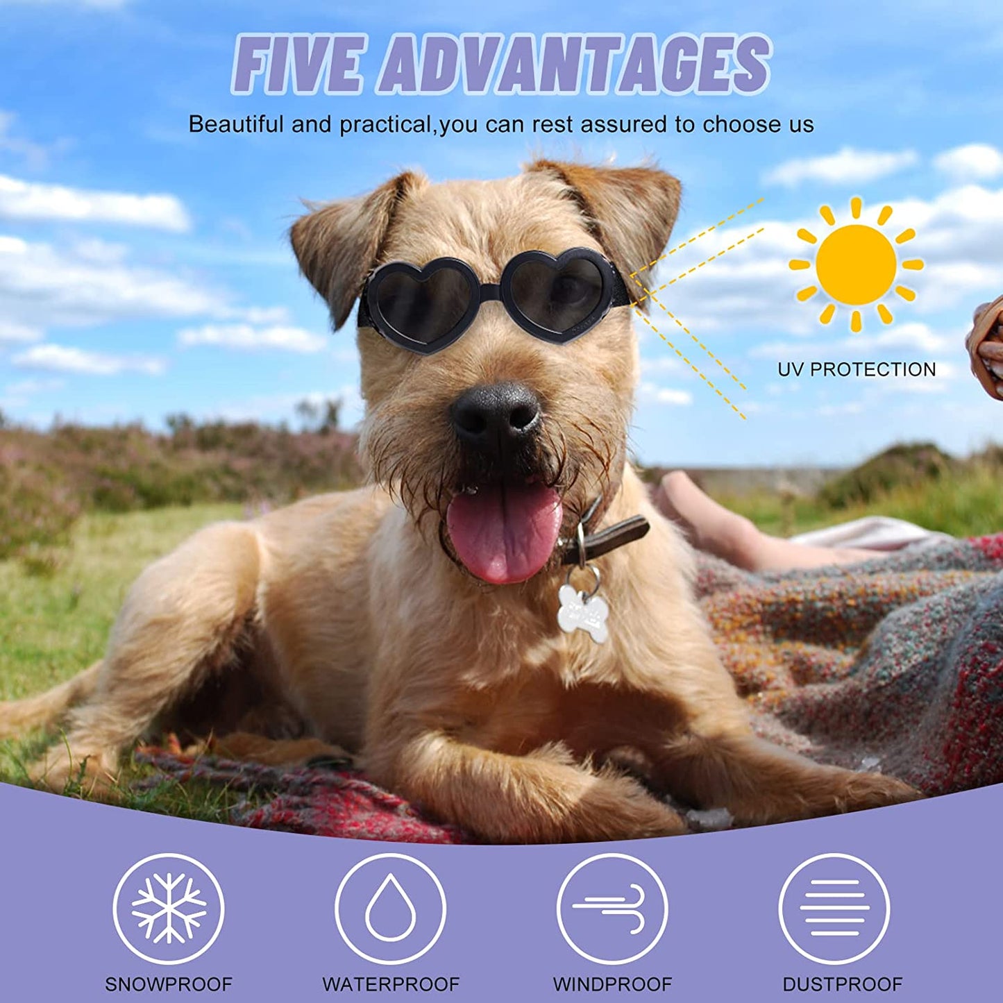 NVTED Small Dog Goggles UV Protection Doggy Sunglasses, Eye Wear Protection with Adjustable Strap Waterproof Dogs Pet Sun Glasses Animals & Pet Supplies > Pet Supplies > Dog Supplies > Dog Apparel NVTED   