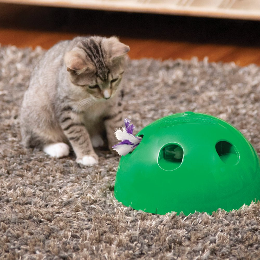 Pets Know Best Pop N' Play Peek-A-Boo Cat Toy, Green Animals & Pet Supplies > Pet Supplies > Cat Supplies > Cat Toys Allstar Products Group   