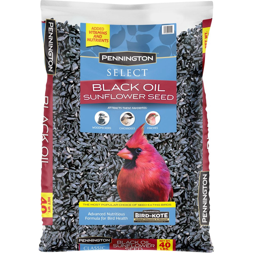 Pennington Select Black Oil Sunflower Seed Wild Bird Feed, 20 Lb. Bag Animals & Pet Supplies > Pet Supplies > Bird Supplies > Bird Food CENTRAL GARDEN & PET COMPANY 40 lbs  