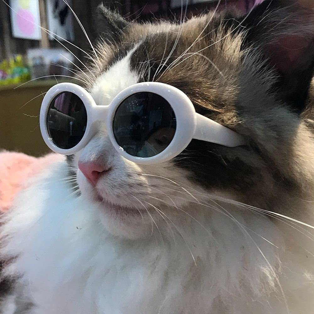 REBABA Cat Sunglasses Cool Plastic Dog Sunglasses Pet Cute and Funny Sunglasses Dog Cat Cosplay Party Costume Photo Props(Black A) Animals & Pet Supplies > Pet Supplies > Dog Supplies > Dog Apparel REBABA   