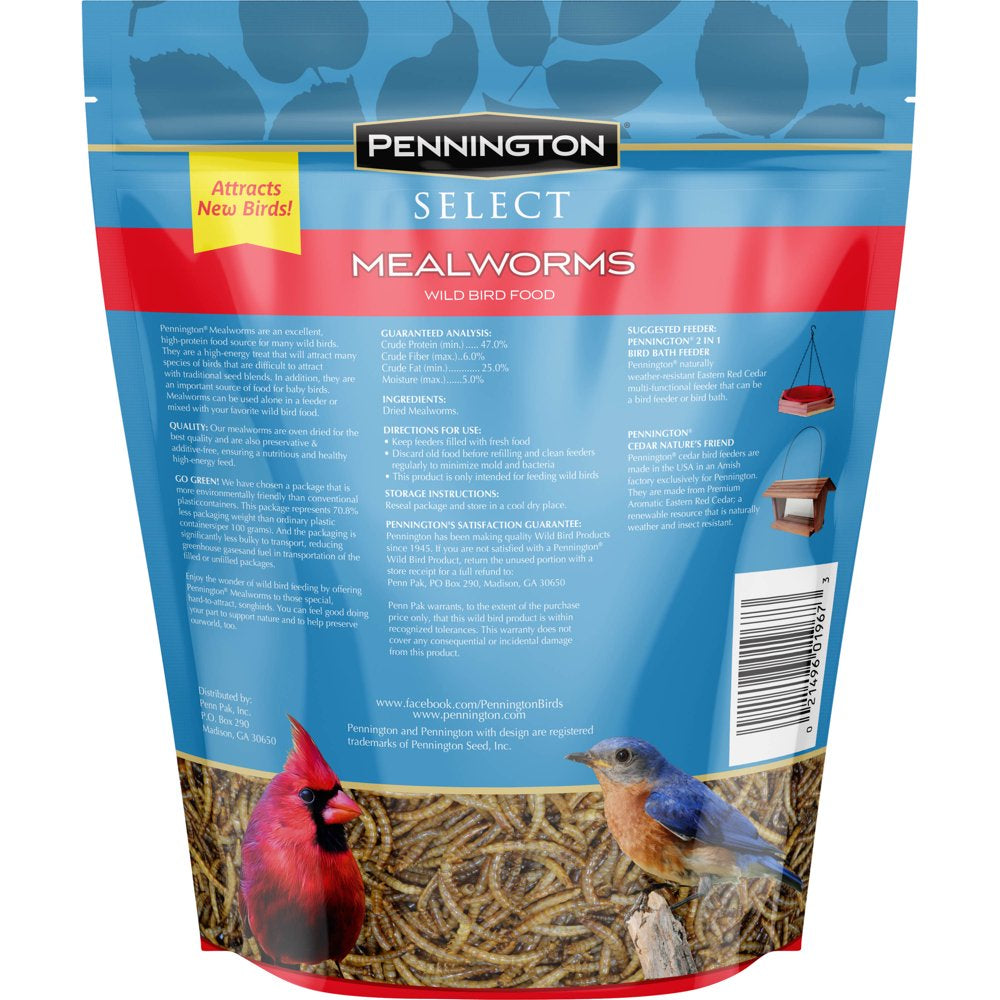 Pennington Mealworms, Wild Bird Food, 17.6 Oz. Bag Animals & Pet Supplies > Pet Supplies > Bird Supplies > Bird Food Central Garden & Pet   