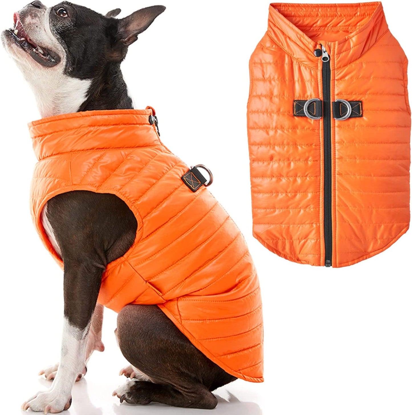 Gooby Puffer Vest Dog Jacket - Purple, Medium - Ultra Thin Zip up Wind Breaker with Dual D Ring Leash - Water Resistant Small Dog Sweater Coat - Dog Clothes for Small Dogs Boy or Medium Dogs Animals & Pet Supplies > Pet Supplies > Dog Supplies > Dog Apparel Gooby Orange Medium chest (18") 