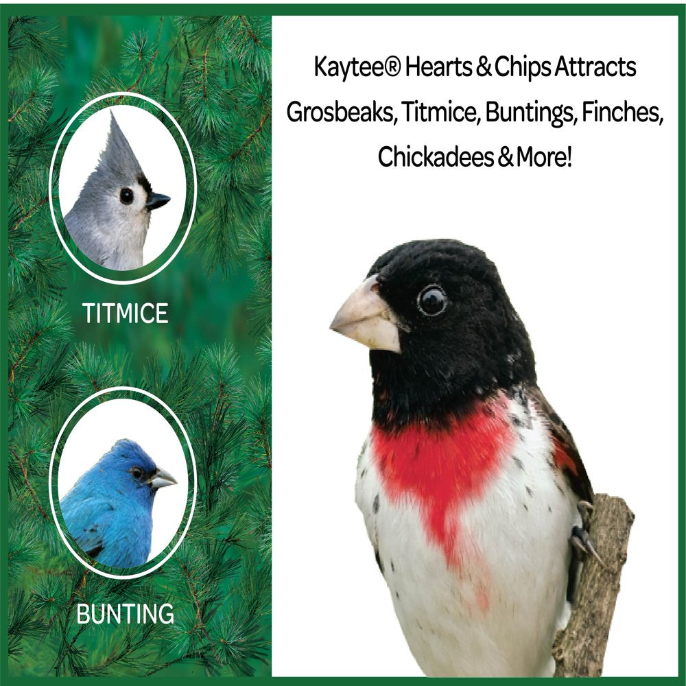 Kaytee Sunflower Hearts & Chips Wild Bird Food, 3 Lb. Animals & Pet Supplies > Pet Supplies > Bird Supplies > Bird Food CENTRAL GARDEN & PET COMPANY   