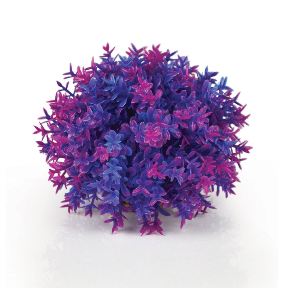 Biorb Aquarium Decor Flower Ball, Plastic, Pink and Green Animals & Pet Supplies > Pet Supplies > Fish Supplies > Aquarium Decor Oase Purple  