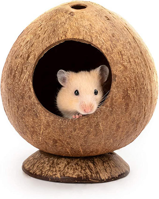 HKJF Coconut Hut Hamster House Bed for Gerbils Mice Small Animal Cage Habitat Decor Animals & Pet Supplies > Pet Supplies > Small Animal Supplies > Small Animal Habitats & Cages HKJF   