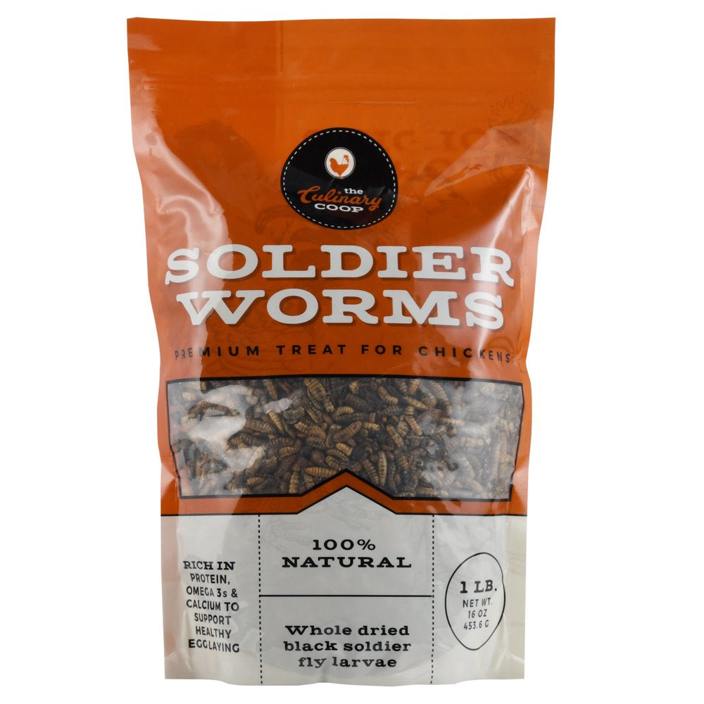 Culinary Coop Dried Soldierworm Treats for Chickens 16Oz Animals & Pet Supplies > Pet Supplies > Bird Supplies > Bird Treats Fluker's   