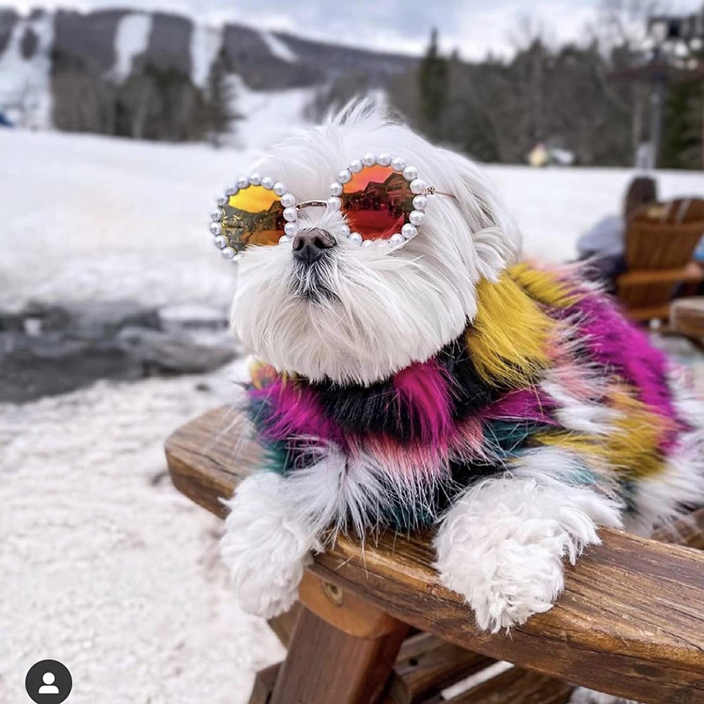 Tuelaly Cute Dog Sunglasses Pearl Dog Sunglasses Small Medium Breed Girl Holiday Party Dog Costume 8 Cm Animals & Pet Supplies > Pet Supplies > Dog Supplies > Dog Apparel Tuelaly   