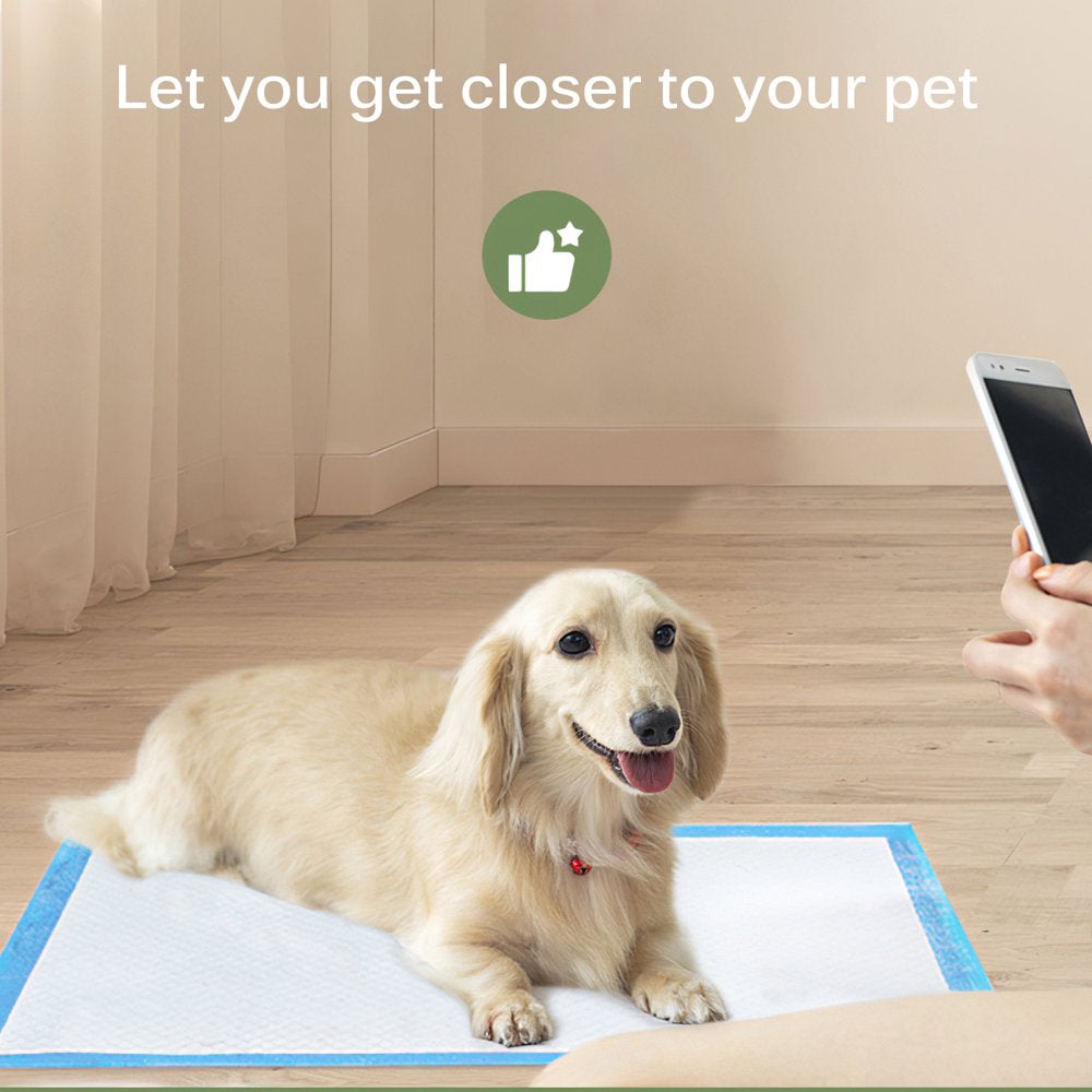 Pet Potty Training Pads for Dogs Puppy Pads Pee Pads, Quick Absorb, 24" X 24",100 Count Animals & Pet Supplies > Pet Supplies > Dog Supplies > Dog Diaper Pads & Liners ViiTech   