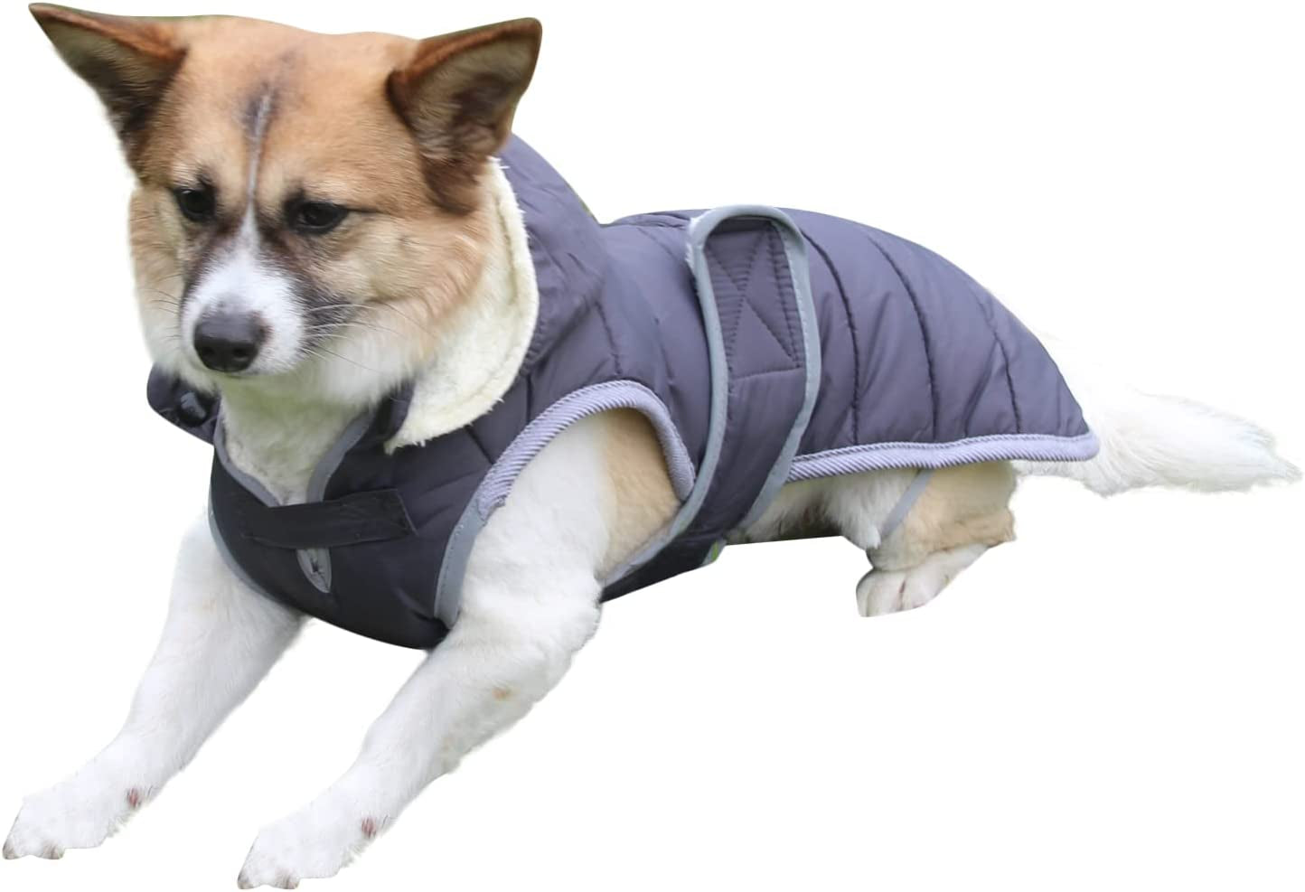 Joydaog Fleece Dog Hoodie for Medium Dogs Warm Puppy Jacket for Cold Winter Waterproof Dog Coats with Hood,Grey L Animals & Pet Supplies > Pet Supplies > Dog Supplies > Dog Apparel Qingwanke   