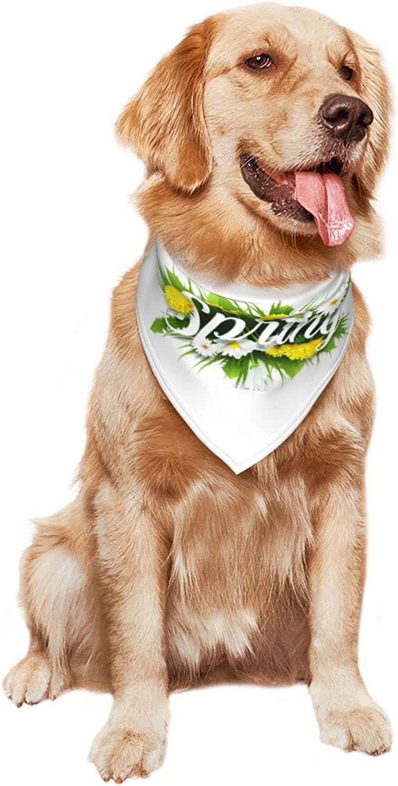 Hello Spring Floral Season Border Pet Dog and Cat Decorative Triangle Scarf,Dog Bandana,Breathable and Stain Resistant. Animals & Pet Supplies > Pet Supplies > Dog Supplies > Dog Apparel ZALTAS   