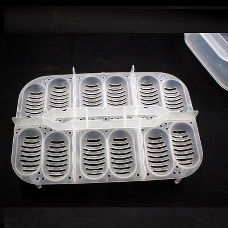 Reptile Dedicated Incubator 12 Grids Egg Box Hatching Hatcher with Tray Transparent Thermometer Amphibians
