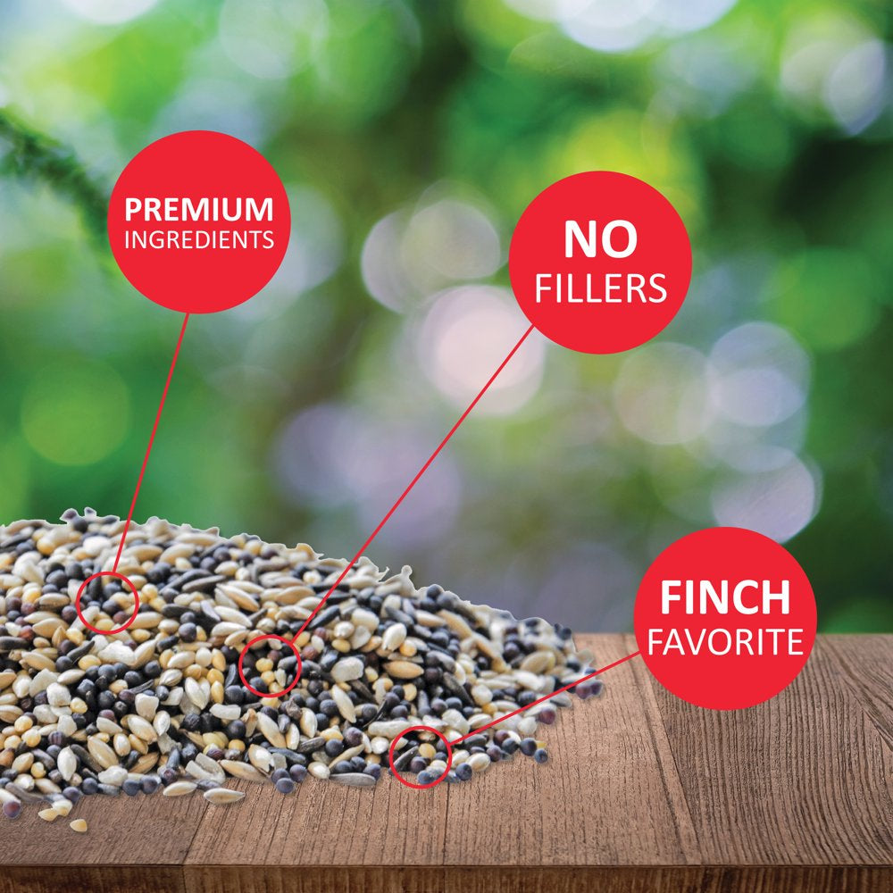 Lyric Finch Wild Bird Seed, Small Songbird Bird Finch Food, 5 Lb. Bag Animals & Pet Supplies > Pet Supplies > Bird Supplies > Bird Food Lebanon Seaboard Corporation   