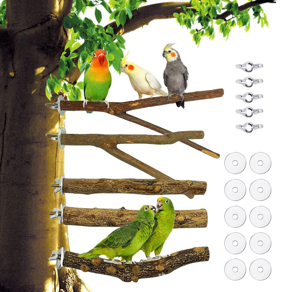 Cage Toys Bird Wooden Play Gyms Stands Parakeets 20Cm Animals & Pet Supplies > Pet Supplies > Bird Supplies > Bird Gyms & Playstands HOMYL   