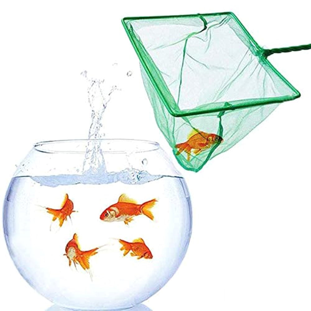 BOOYOU 6 Pcs Aquarium Feeding Set Betta Leaf Bed Pad Feeding Ring Plastic Fishnet Animals & Pet Supplies > Pet Supplies > Fish Supplies > Aquarium Fish Nets BOOYOU   