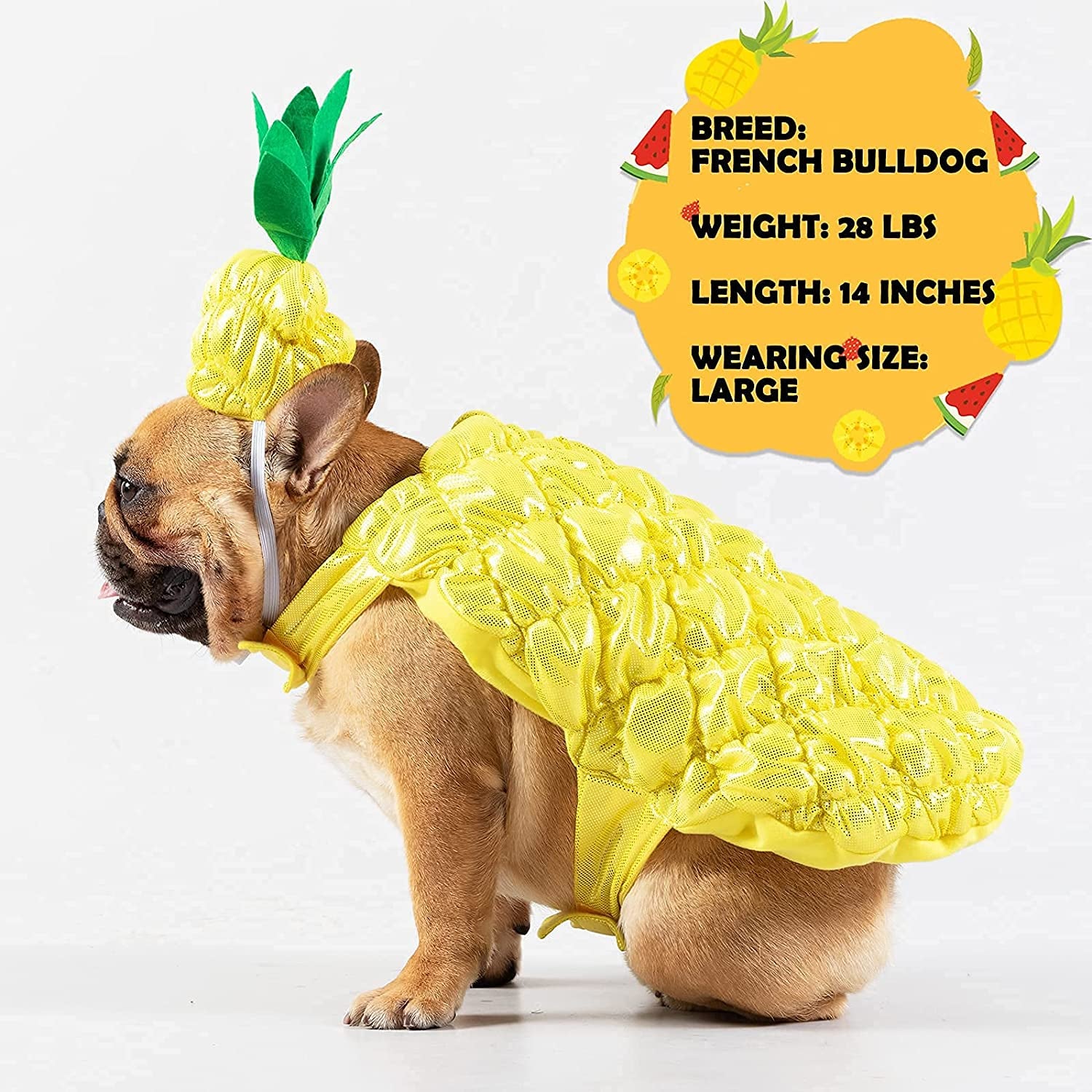 Cyeollo Dog Halloween Costume Pineapple Dress-Up Costumes Outfits Cosp –  KOL PET