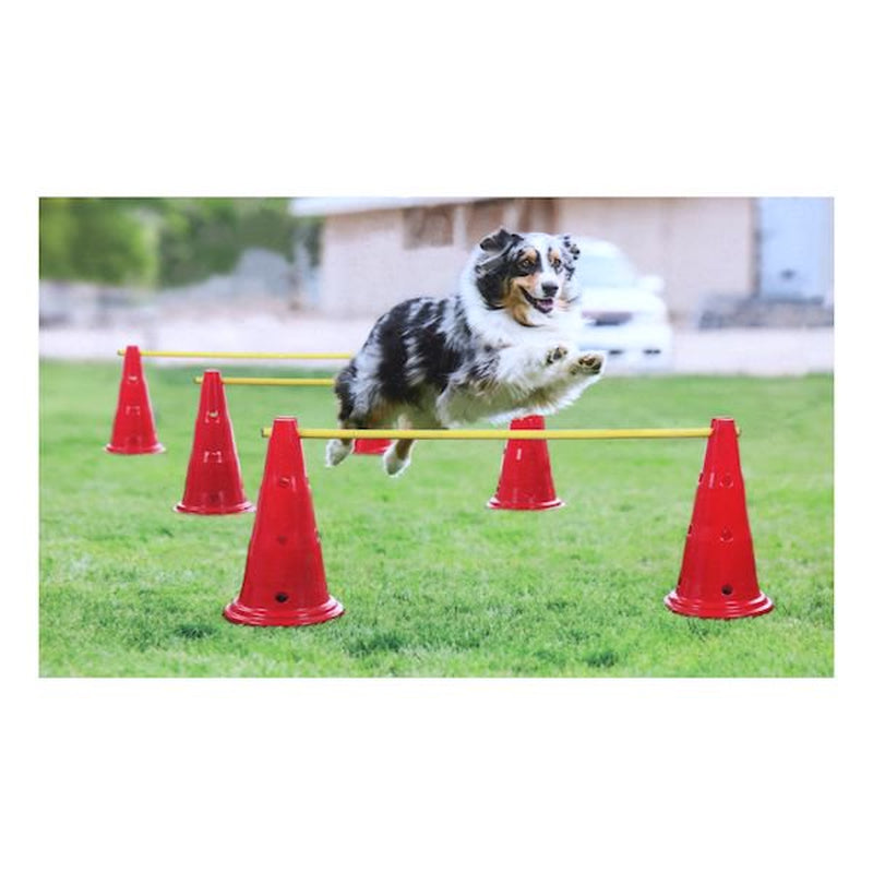 Etna Dog Agility Hurdle Set - 6 Canine Obedience Training Exercise Con