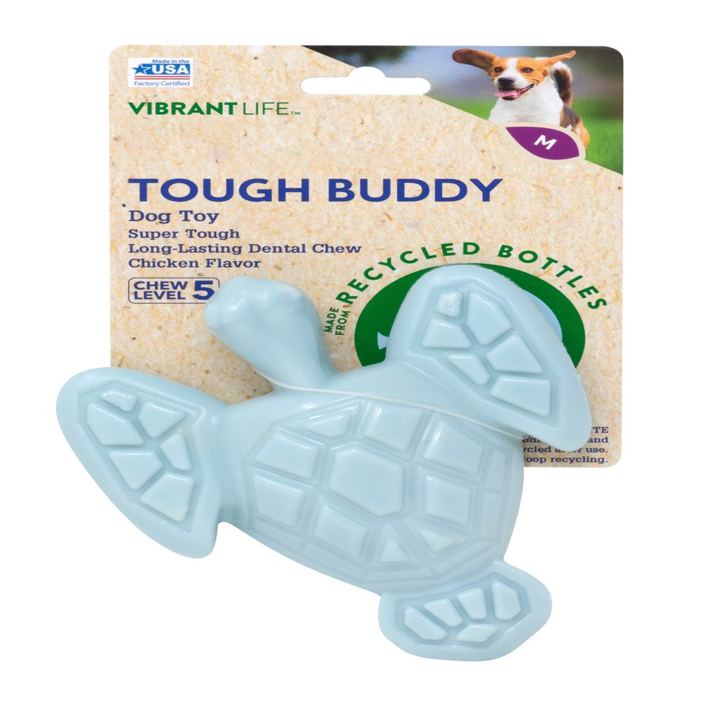 Vibrant Life Turtle Tough Buddy Recycled Chew Toy, Medium