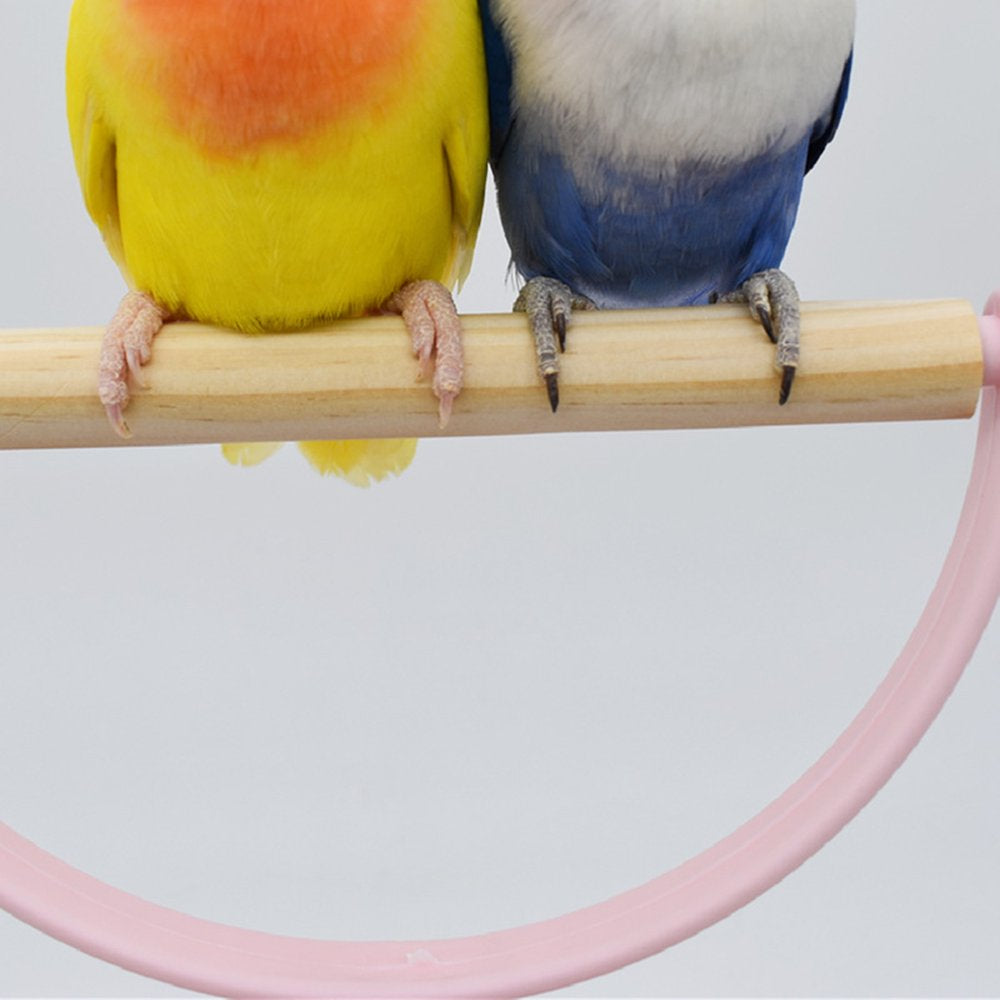 Small Bird Stand Perch Play Gym Cute Parrot Training Playstand Cage Accessories Animals & Pet Supplies > Pet Supplies > Bird Supplies > Bird Cage Accessories unahtinr   