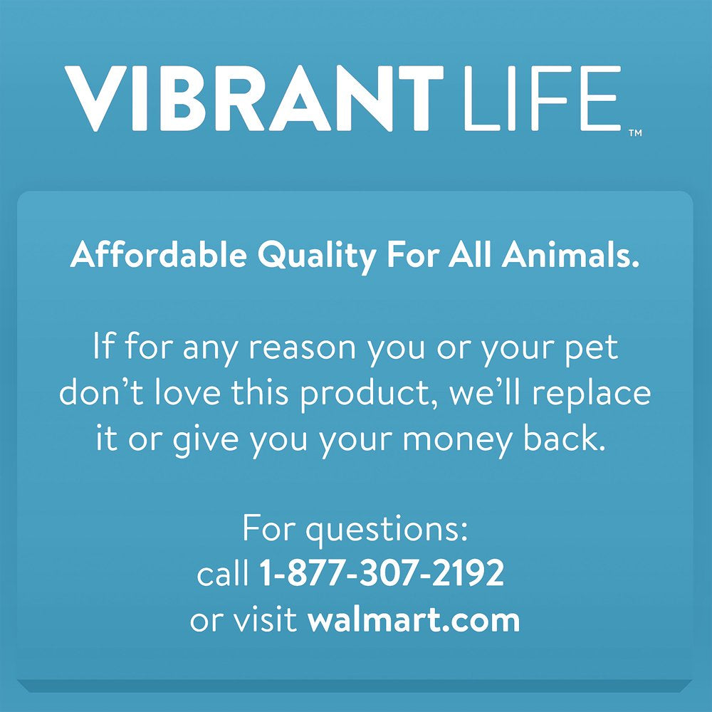 Vibrant Life Vinyl Pup Squeaks Dog Toy, Small, Assorted Animals & Pet Supplies > Pet Supplies > Dog Supplies > Dog Toys Vibrant Life   