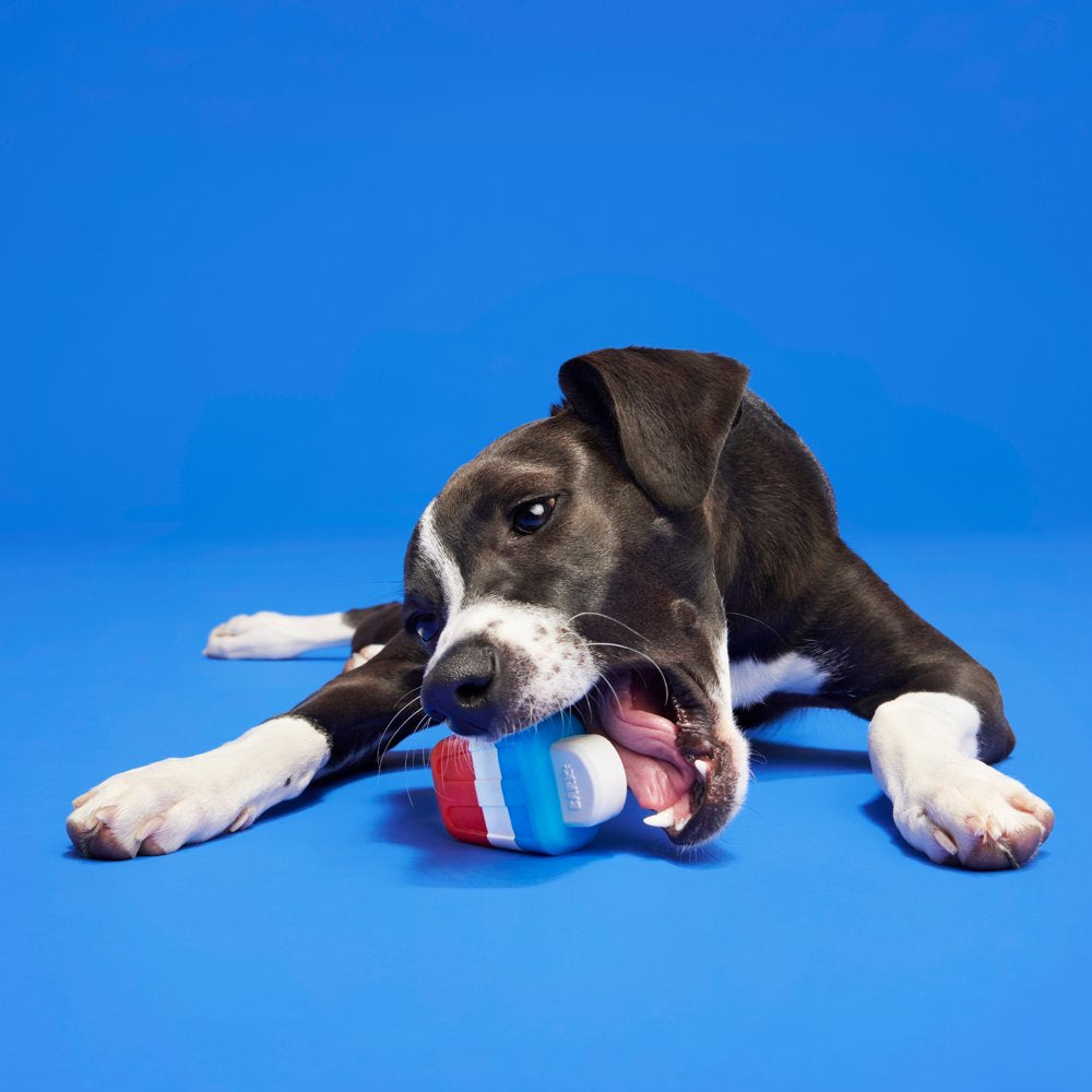 BARK Red White & Chew Pupsicle Super Chewer - Yankee Doodle Dog Toy, Vanilla Mint Scented, Small Dogs Animals & Pet Supplies > Pet Supplies > Dog Supplies > Dog Toys BARK   