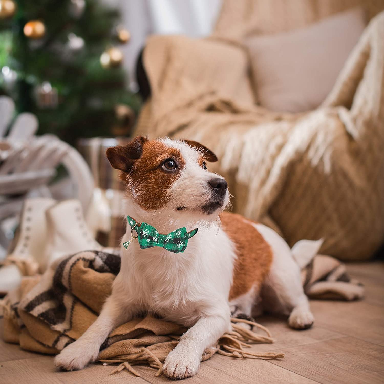 ADOGGYGO Christmas Dog Collar with Bow Tie Adjustable Bowtie Plaid Red Green Dog Pet Collars for Small Medium Large Dogs (Small, Red&Green&White) Animals & Pet Supplies > Pet Supplies > Dog Supplies > Dog Apparel ADOGGYGO   