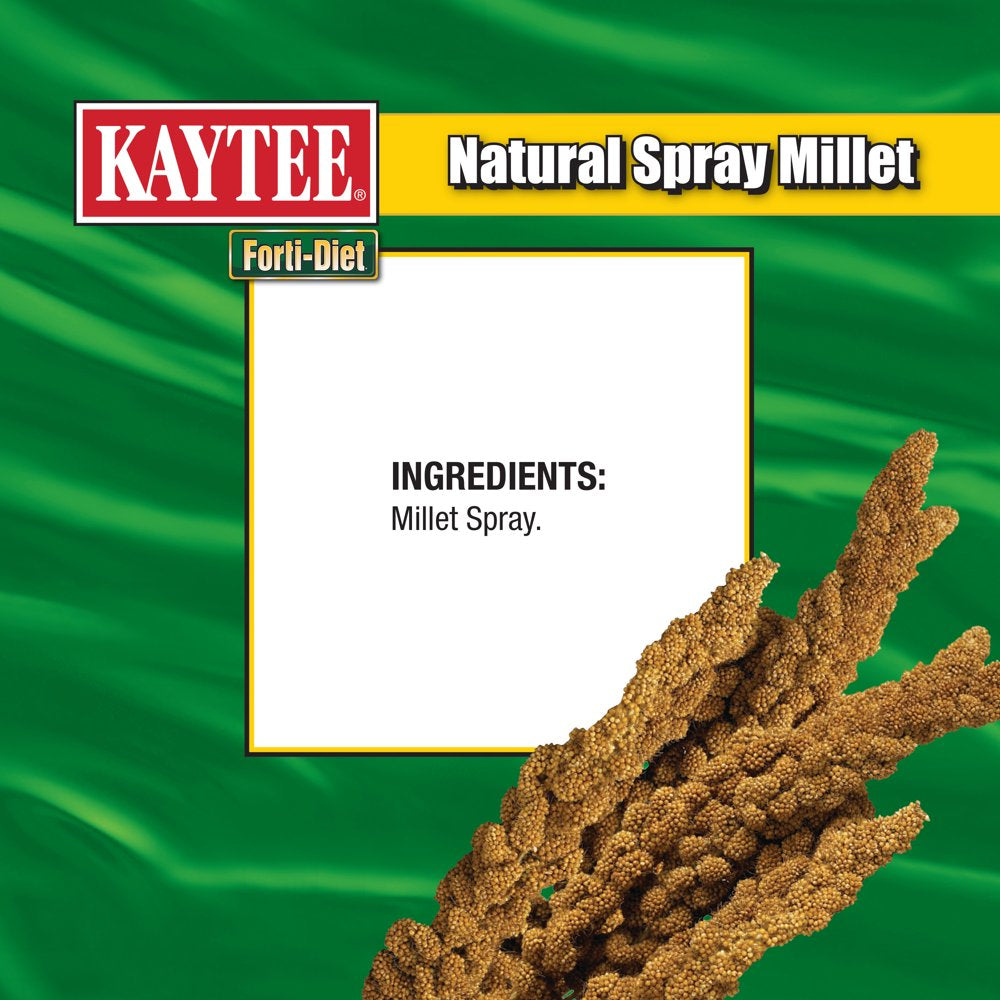 Kaytee Forti-Diet Spray Millet, 7 Oz, Treat for Pet Birds Animals & Pet Supplies > Pet Supplies > Bird Supplies > Bird Treats Central Garden and Pet   