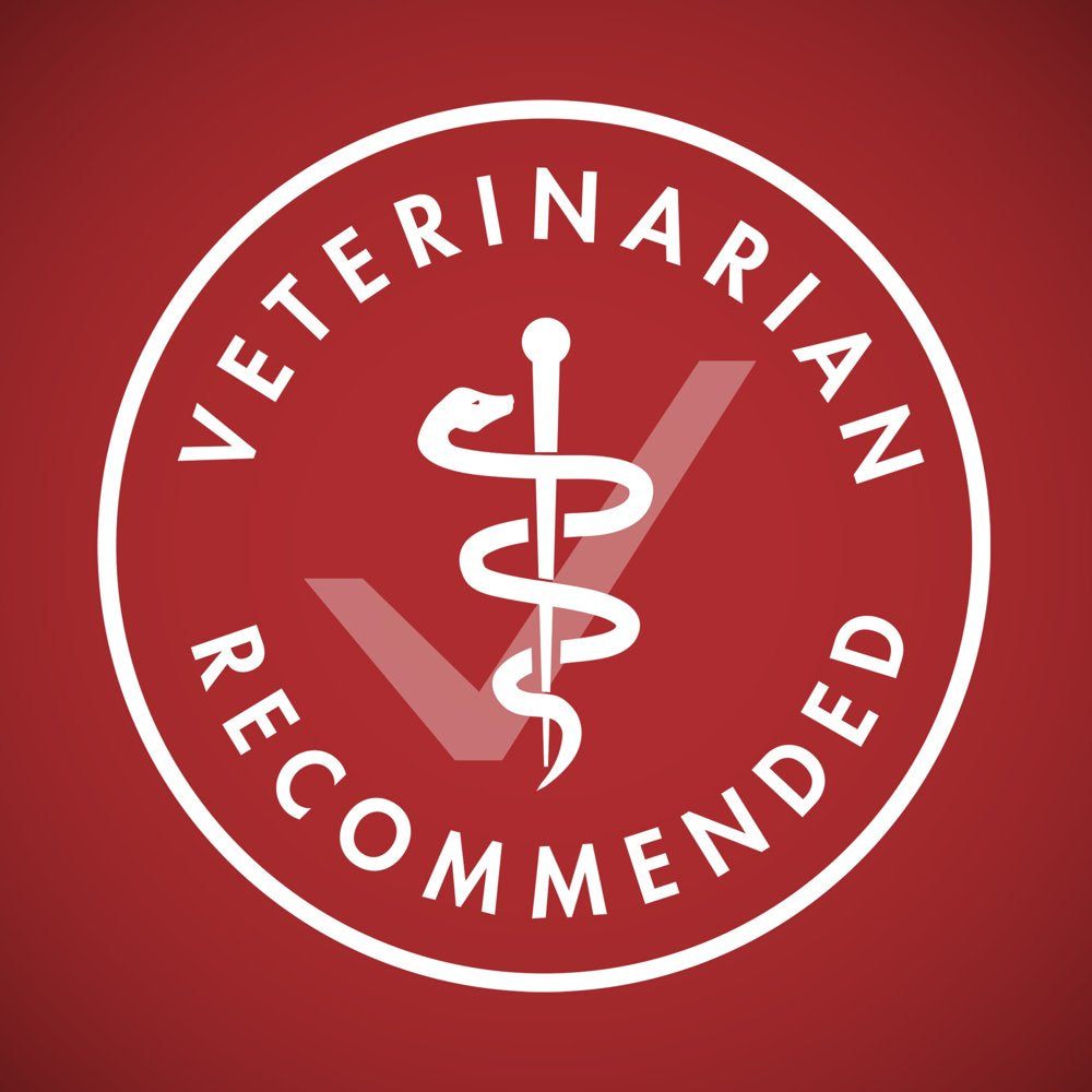 Purina ONE Natural Dry Dog Food, Smartblend Lamb & Rice Formula, 8 Lb. Bag Animals & Pet Supplies > Pet Supplies > Small Animal Supplies > Small Animal Food Nestlé Purina PetCare Company   