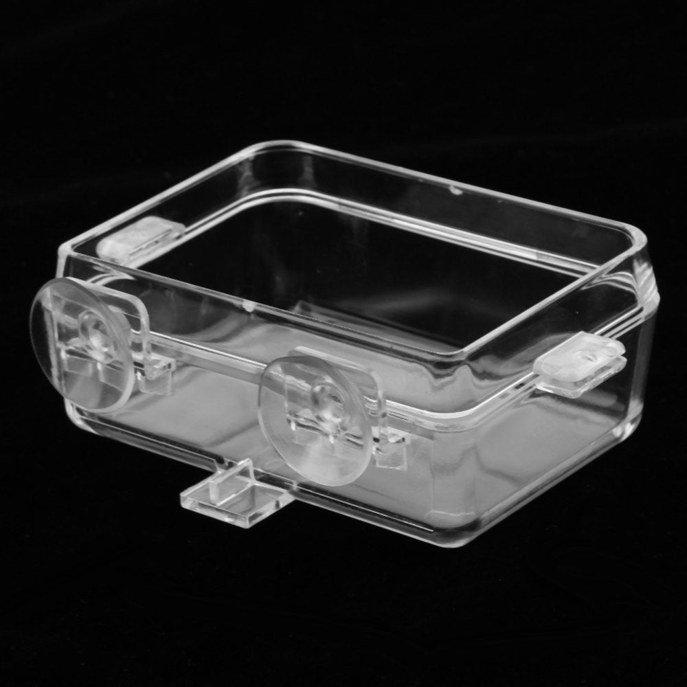 Transparent Reptile Feeding Dish Bowl for Reptiles & Amphibians Animals & Pet Supplies > Pet Supplies > Reptile & Amphibian Supplies > Reptile & Amphibian Food Gazechimp   