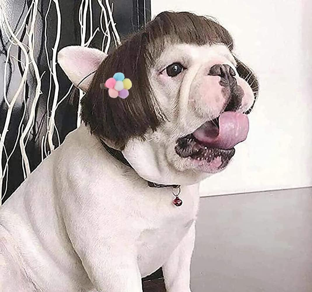 Funny Dog Wigs for Small Medium Large Dogs with Head Flower