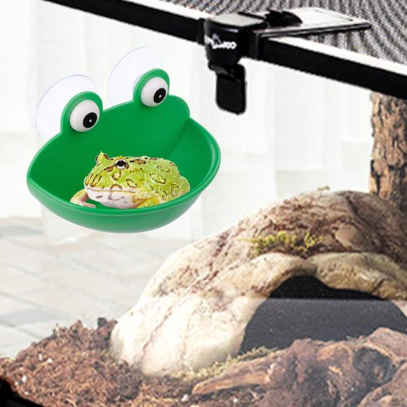 Cheers.Us Reptile Feeder with Suction Cup Pet Landscaping Plastic Frog Tortoise Amphibian Rest Living Container,Multifunctional, Easy Cleaning for Amphibian and Reptile Animals & Pet Supplies > Pet Supplies > Reptile & Amphibian Supplies > Reptile & Amphibian Food Cheers.US   