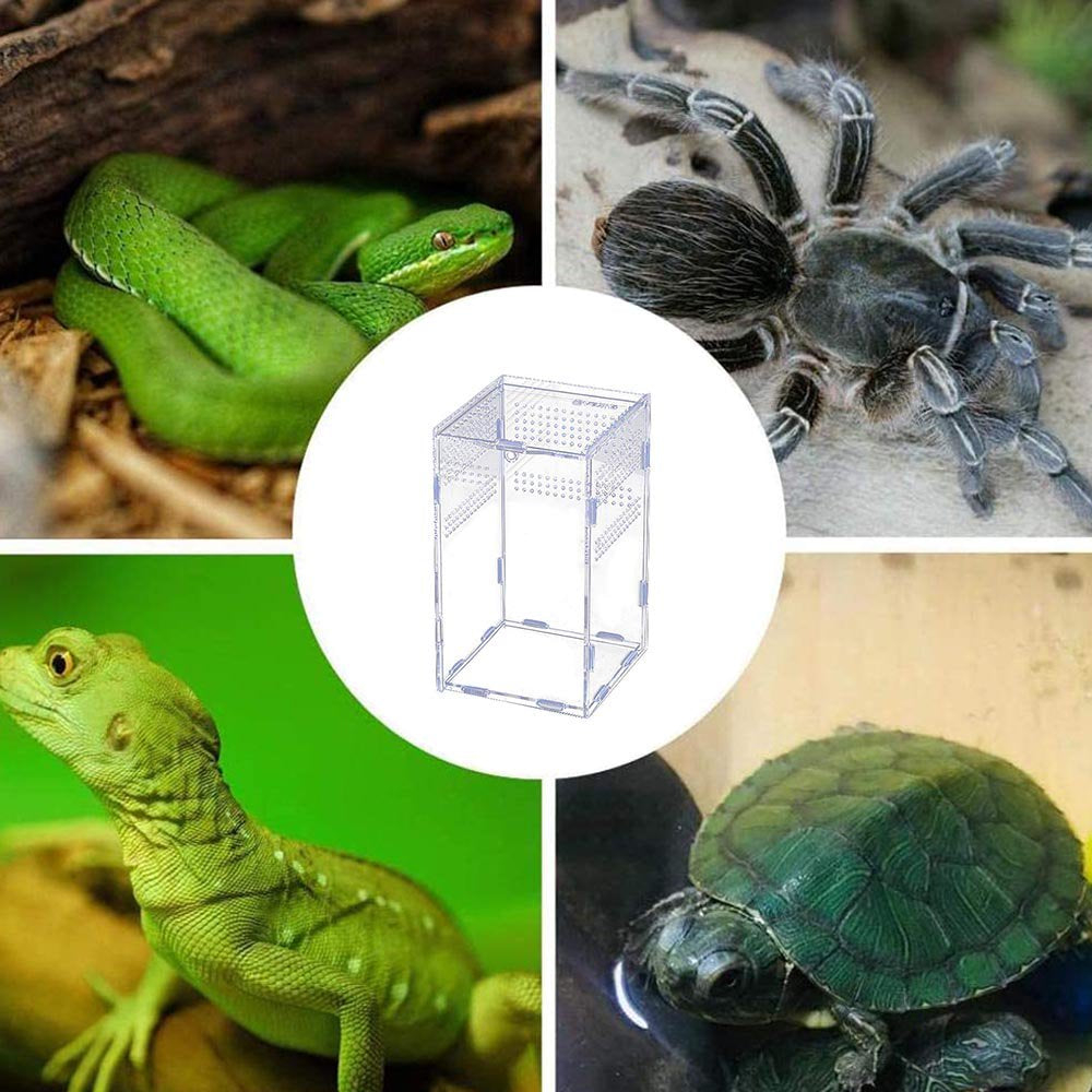 Reptile Habitat-Insect Feeding Box for Reptiles and Amphibians, Acrylic Reptile Transparent Breeding Case Animals & Pet Supplies > Pet Supplies > Reptile & Amphibian Supplies > Reptile & Amphibian Habitats ViiTech   