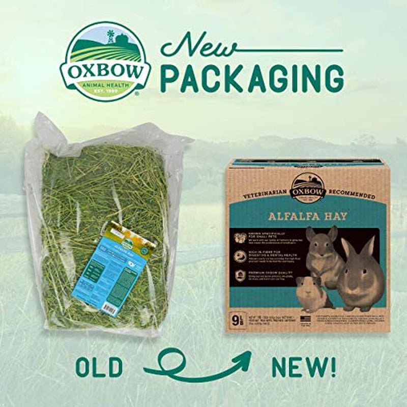 Oxbow Animal Health Alfalfa Hay - All Natural Hay for Young, Pregnant, or Nursing Small Pets - 9 Lb. Animals & Pet Supplies > Pet Supplies > Small Animal Supplies > Small Animal Food Kayronica Ecom LLC   