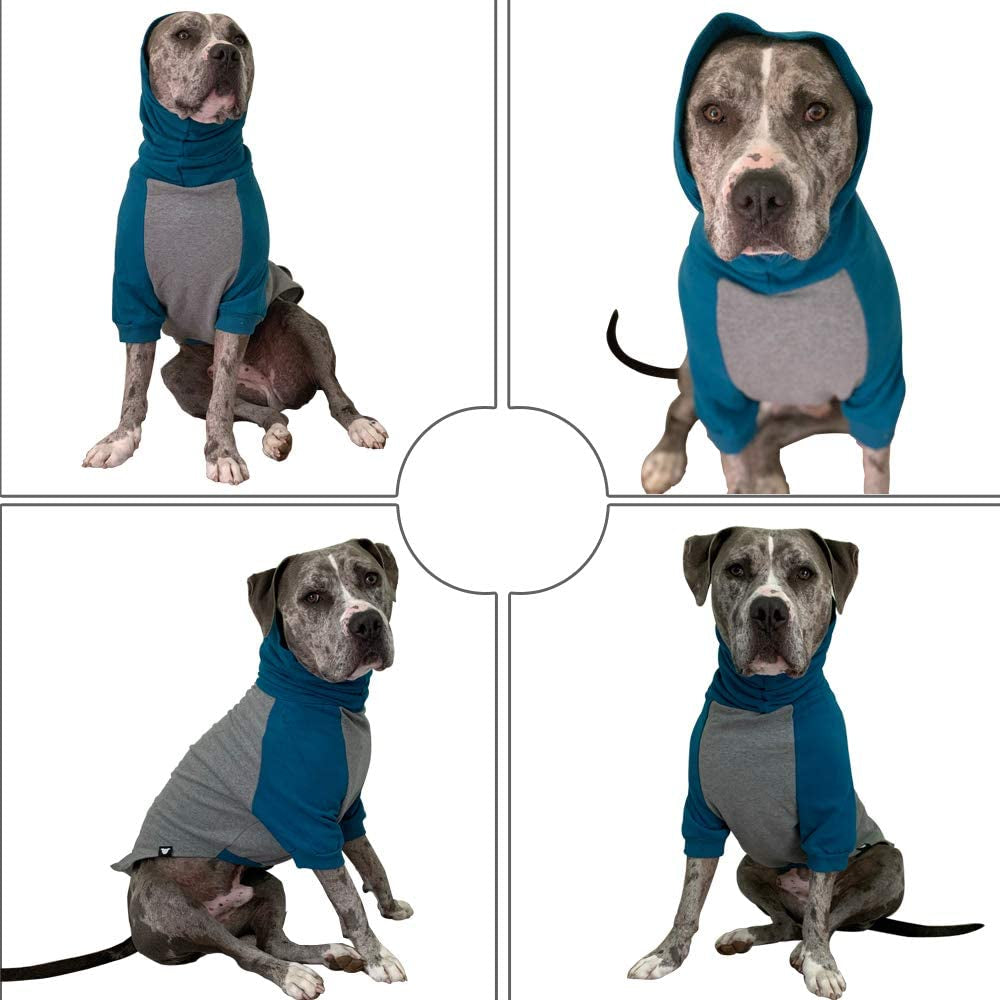 Tooth & Honey Large Dog Sweater/Pitbull/Large/Medium/X Large Dog Sweater Dog Sweatshirt/Teal & Grey (X-Large) Animals & Pet Supplies > Pet Supplies > Dog Supplies > Dog Apparel Tooth & Honey   