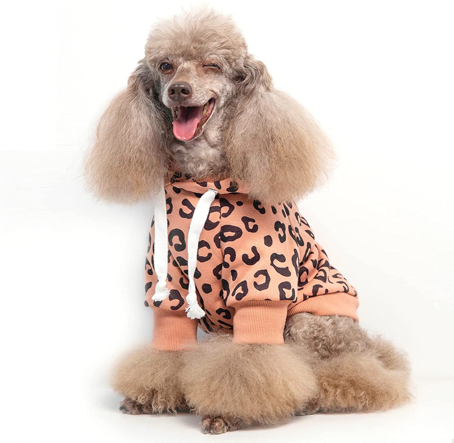 Furryilla Leopard Pink Puppy Chihuahua Dog Hoodies for Small Dogs Girl and Boy, Dog Cotton Hoodie Sweatshirt Fleece Sweater Winter Coat with Hat, XS Dog Clothes Girl, Cat Hoodie(Xs Pink) Animals & Pet Supplies > Pet Supplies > Dog Supplies > Dog Apparel Furryilla Pink Dog Hoodie Large 