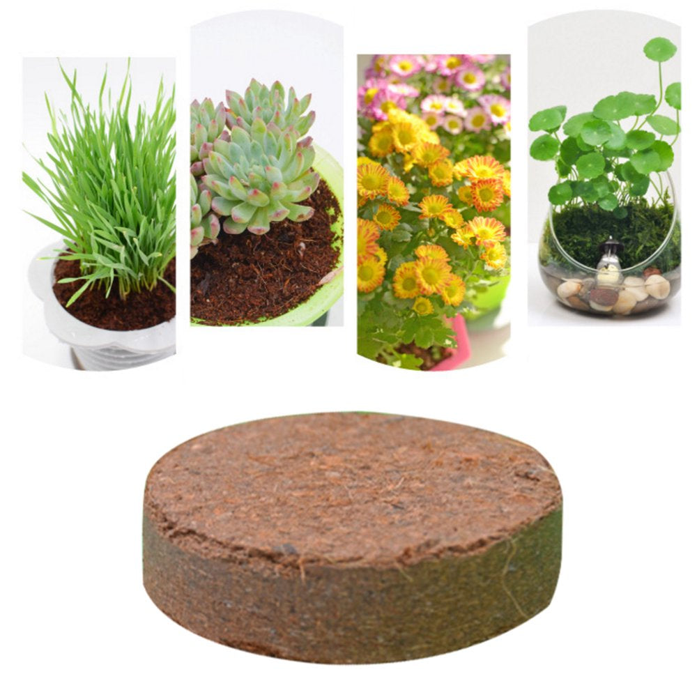 Reptile Terrariums Fish Tank Supply Natural Coconut Fiber Substrate Bricks Soil Essentials Animals & Pet Supplies > Pet Supplies > Fish Supplies > Aquarium Gravel & Substrates Leimezsty   