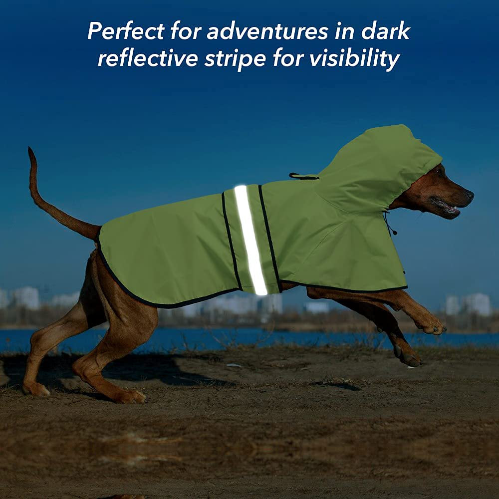 Bseen Dog Raincoat Hooded - Waterproof Reflective Pet Rain Jacket (Green, Large) Animals & Pet Supplies > Pet Supplies > Dog Supplies > Dog Apparel Dongguan Bison Sports Articles Co. Ltd.   