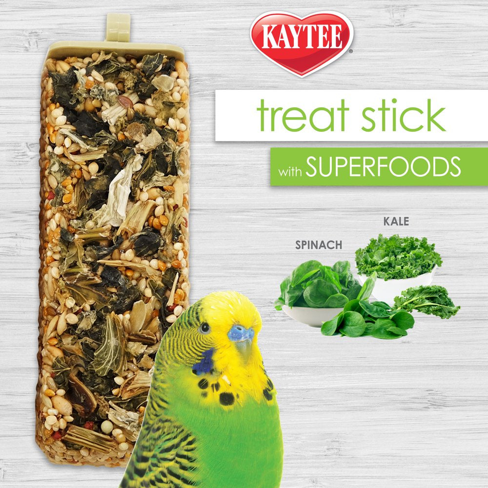 Kaytee Avian Superfood Treat Stick Spinach & Kale 5.5Oz Animals & Pet Supplies > Pet Supplies > Bird Supplies > Bird Treats Central Garden and Pet   