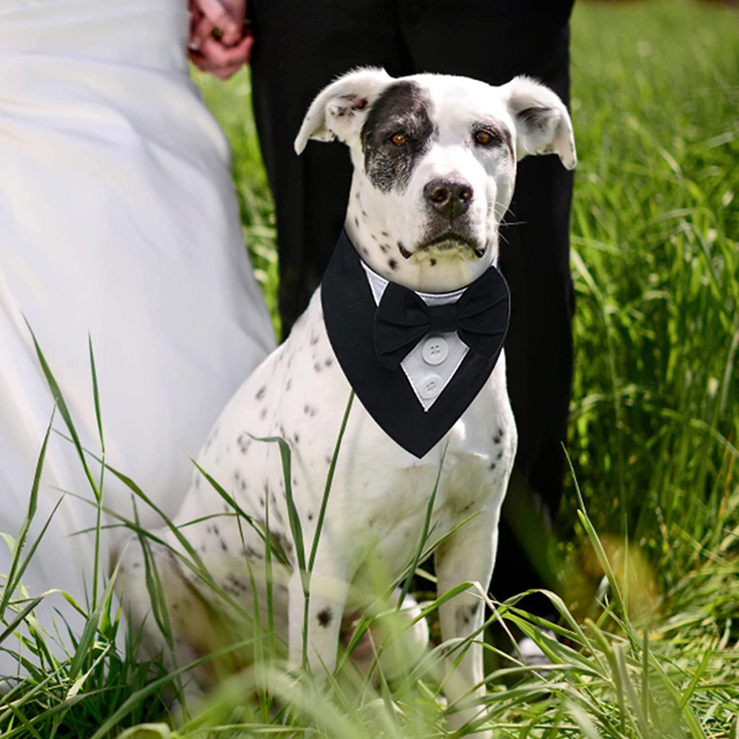 FUAMEY Dog Tuxedo,Formal Dog Wedding Bandana Dog Collar with Bow Tie Dog Birthday Costume Adjustable Pet Party Tux Dog Wedding Attire,Dog Valentines Outfit Cosplay for Small Medium Large Pets Black-S Animals & Pet Supplies > Pet Supplies > Dog Supplies > Dog Apparel FUAMEY   