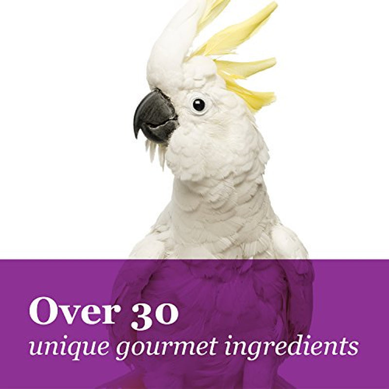 F.M. Brown'S Tropical Carnival Gourmet Macaw Food Big Bites for Big Beaks, 14-Lb Bag - Vitamin-Nutrient Fortified Daily Diet with Probiotics for Digestive Health Animals & Pet Supplies > Pet Supplies > Small Animal Supplies > Small Animal Food N/A   