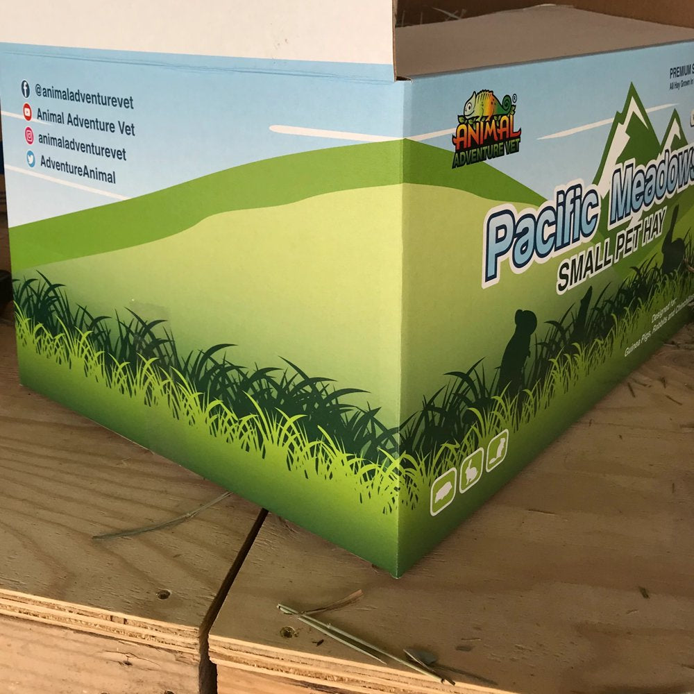 Pacific Meadows Small Pet Quality Orchard Grass Hay 15 Pound Box Animals & Pet Supplies > Pet Supplies > Small Animal Supplies > Small Animal Food unknown   