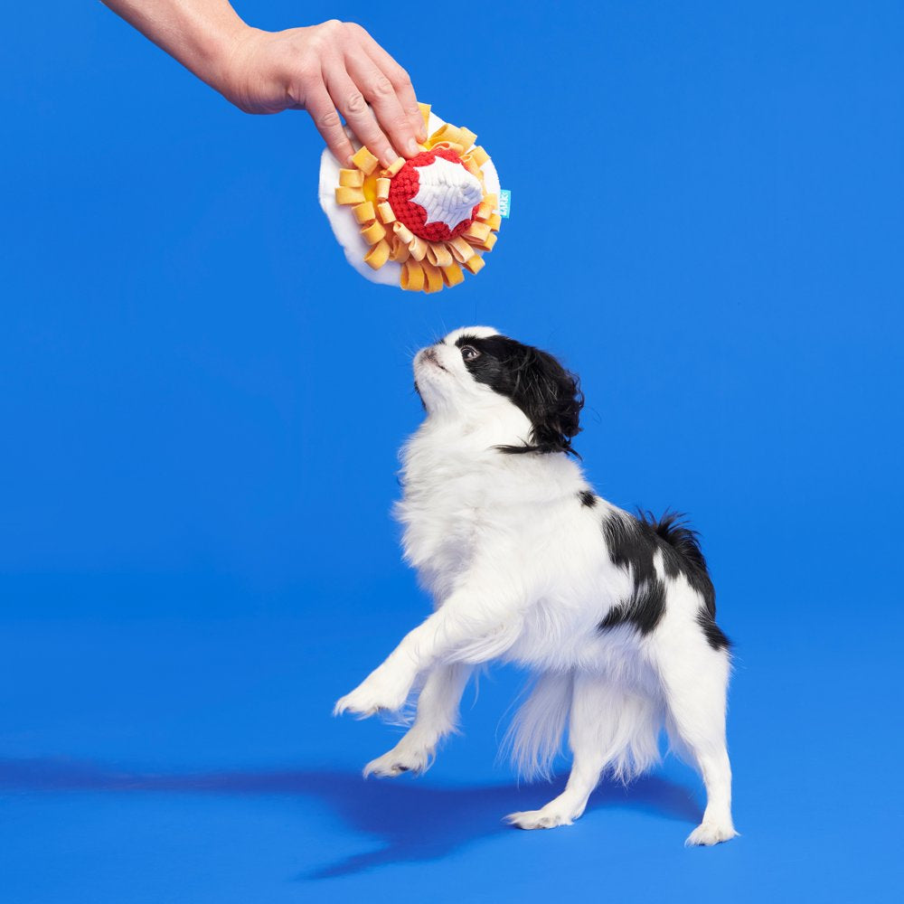 BARK Founding Funnel Cake - Yankee Doodle Dog Toy, Great for Hiding Treats, XS-M Dogs Animals & Pet Supplies > Pet Supplies > Dog Supplies > Dog Toys BARK   