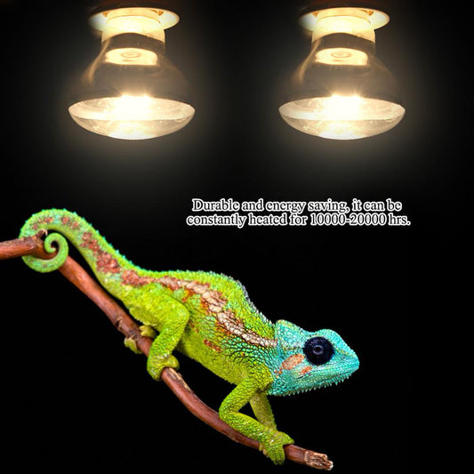 Mgaxyff Reptile Heating Light,4Types 220-230V Night Heat Light Lamp Bulb for Bird Snake Reptile Pet Amphibian ,Heating Light  Mgaxyff 100W  