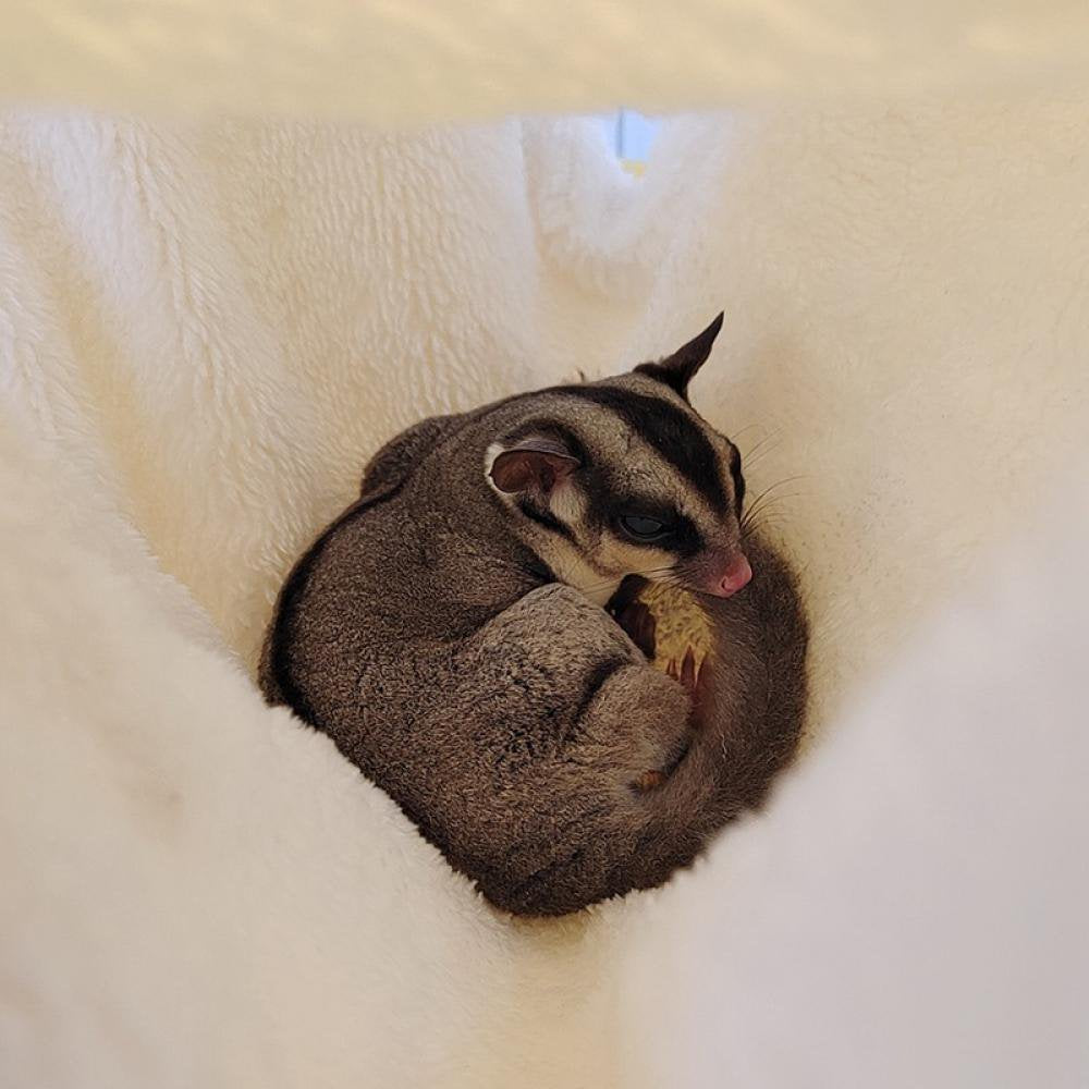 Small Pet Cage Hammock, Hanging Bed for Small Animals Pet Cage Accessories Bedding Animals & Pet Supplies > Pet Supplies > Small Animal Supplies > Small Animal Bedding Hardlegix   