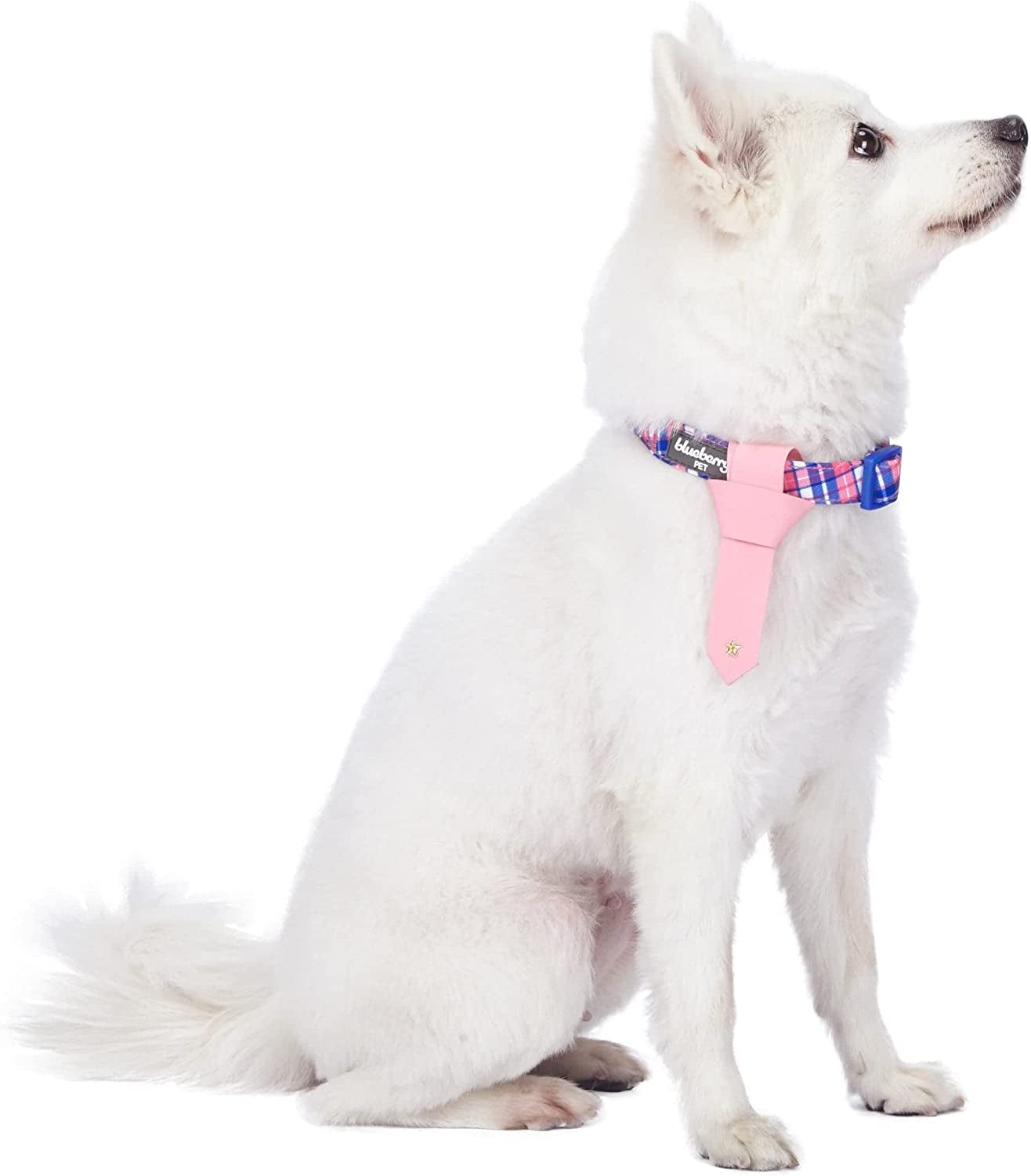 Blueberry Pet 4 Patterns Blue Hue Scottish Plaid Style Adjustable Tie Dog Collar, Small, Neck 12"-16" Animals & Pet Supplies > Pet Supplies > Dog Supplies > Dog Apparel Blueberry Pet Pink Tie + Collar Medium 