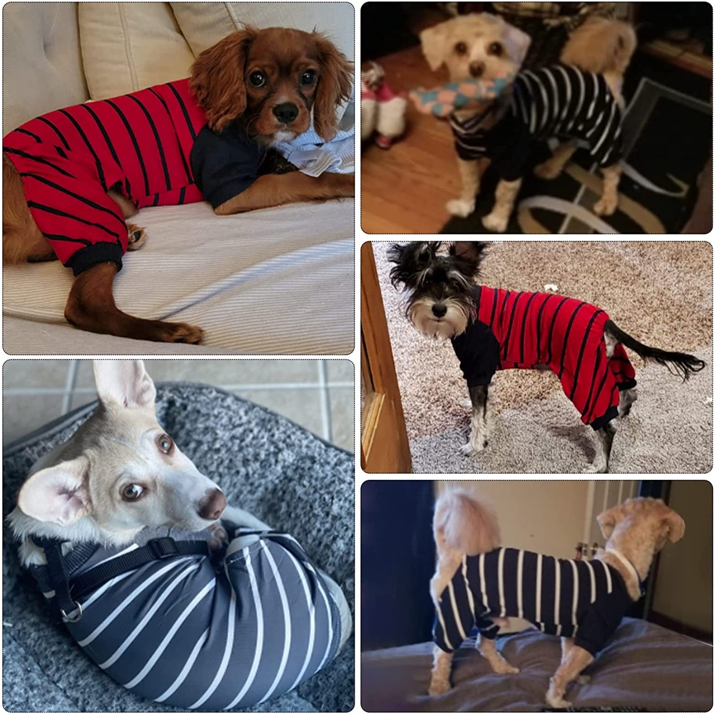 3 Pieces Pet Onesie Dog Pajamas Dog Clothing Soft Puppy Shirts Pet Striped Clothes Breathable Pet Sweatshirt Dog Sleep Clothes Cat Pajamas (L) Animals & Pet Supplies > Pet Supplies > Dog Supplies > Dog Apparel Geyoga   