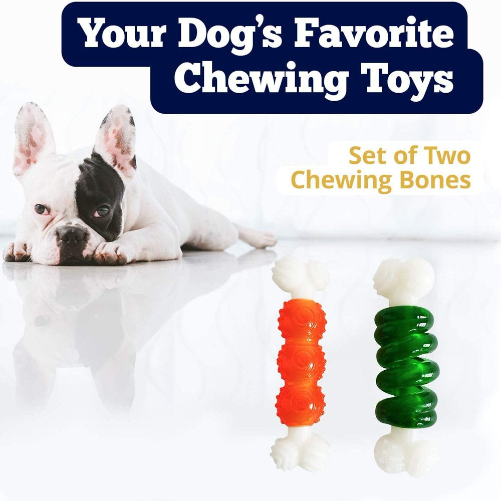 American Pet Supplies Chewing Bones, TPR Nylon Bones Set, Toys for Puppies and Dogs Animals & Pet Supplies > Pet Supplies > Dog Supplies > Dog Toys American Pet   