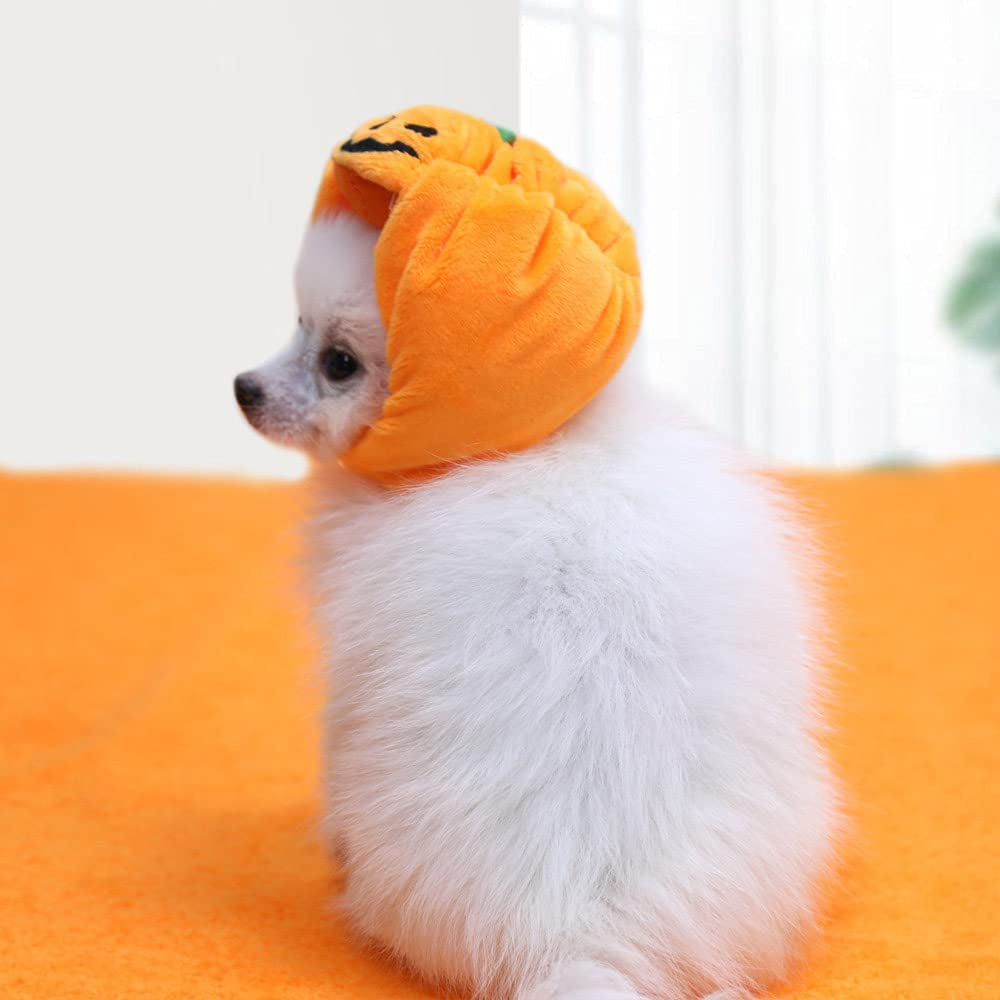 Yolsun Cat Halloween Pumpkin Costume Puppy Kitten Pumpkin Hat Headdress for Halloween Cosplay Dress Up Animals & Pet Supplies > Pet Supplies > Dog Supplies > Dog Apparel YOLSUN   